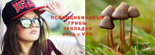 эйфоретик Алзамай