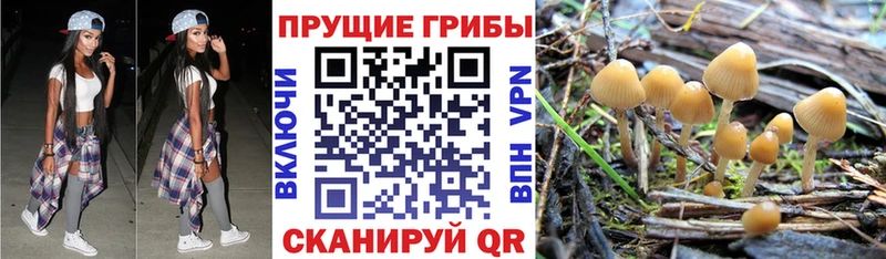 Псилоцибиновые грибы ЛСД  Динская 